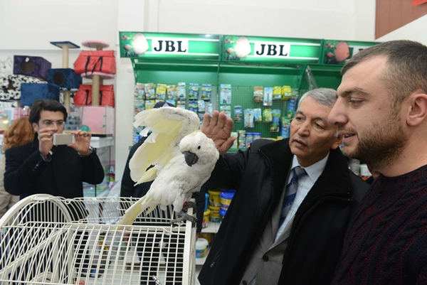 20-05-2014-süs-hayvanı