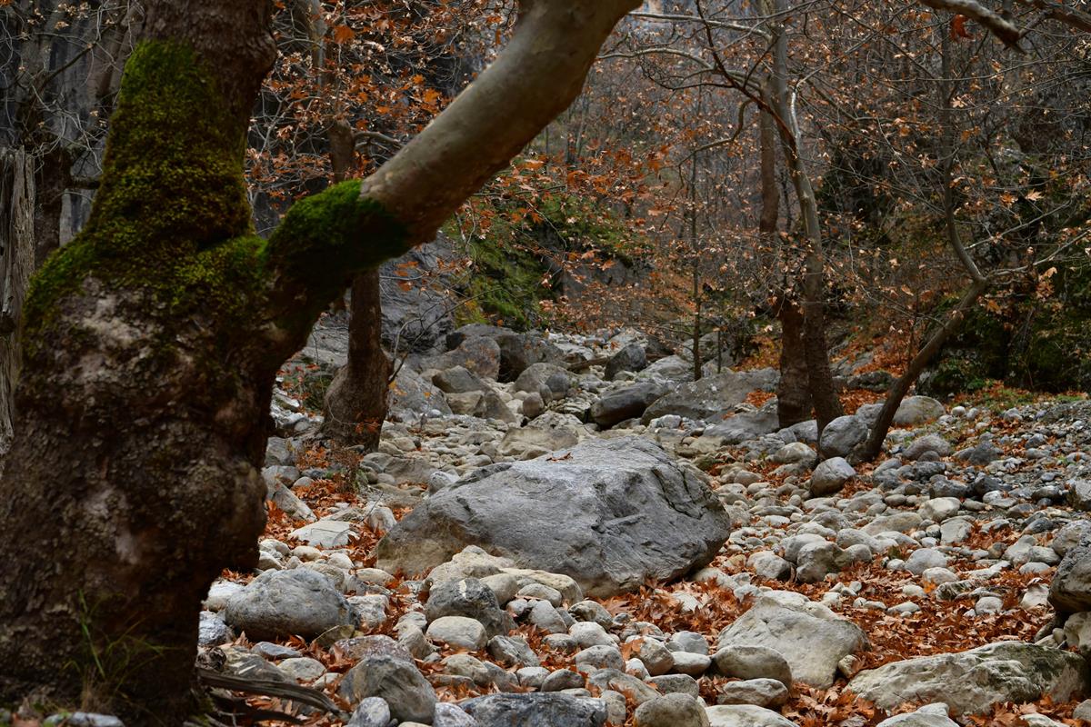 Aksu Yaka Kanyonu – 7. fotoğraf