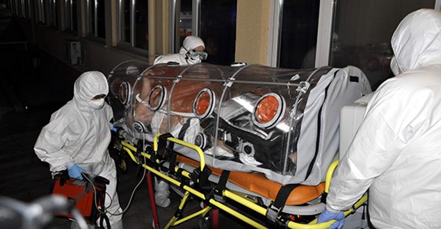 Domuz Gribi Burdur’da can aldı