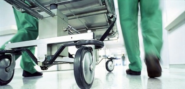 Korkulan oldu: Domuz gribi yayılıyor!