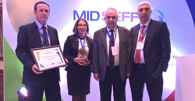 Avrupa İmar ve Kalkınma Bankası (EBRD) ve ortakları, Orta Ölçekli