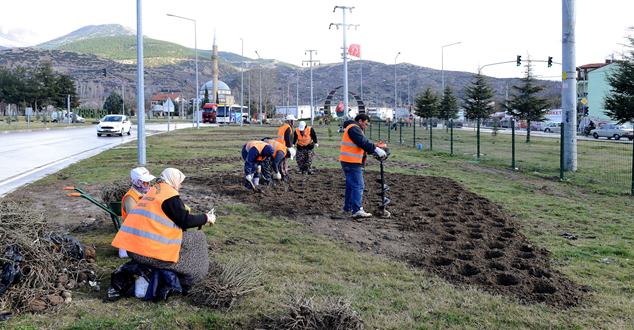 Isparta Belediyesi Park ve Bahçeler Müdürlüğü, Belediye Başkanı Yüksek Mimar