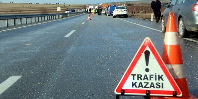 Isparta'da trafik kazasında ayağı kırılan koyun herşeye rağmen kuzularını emzirdi..
