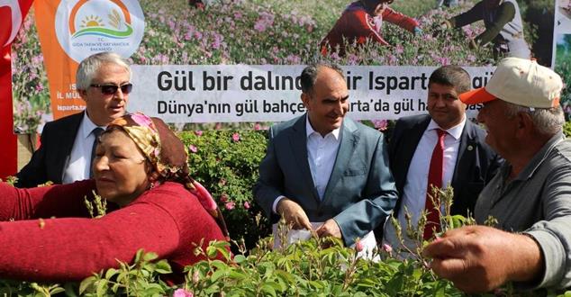 Yıllık yaklaşık 7 bin ton gül rekoltesi ile dünya yağ