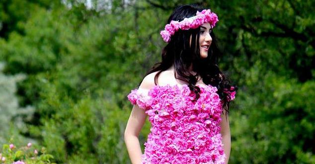 Dünya gül üretiminin yüzde 65’ini karışlayan Isparta’da gül hasadı başlarken,