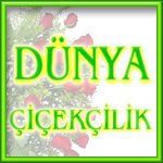 Isparta Dünya çiçekçilik