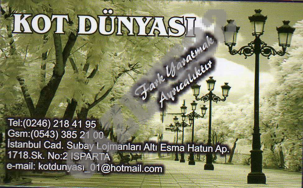 Kot Dünyası