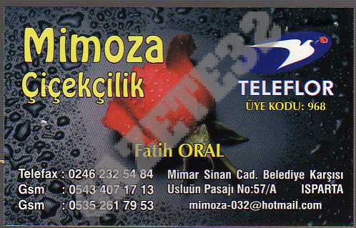 Mimoza Çiçekçilik