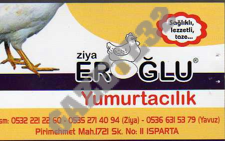 Ziya Eroğlu Yumurtacılık