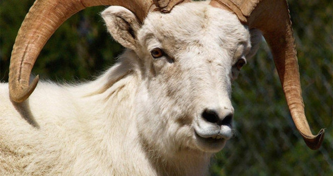 Isparta Valiliği tarafından Kurban Bayramı öncesinde alınan tedbirleri kamuoyuyla paylaşıldı.