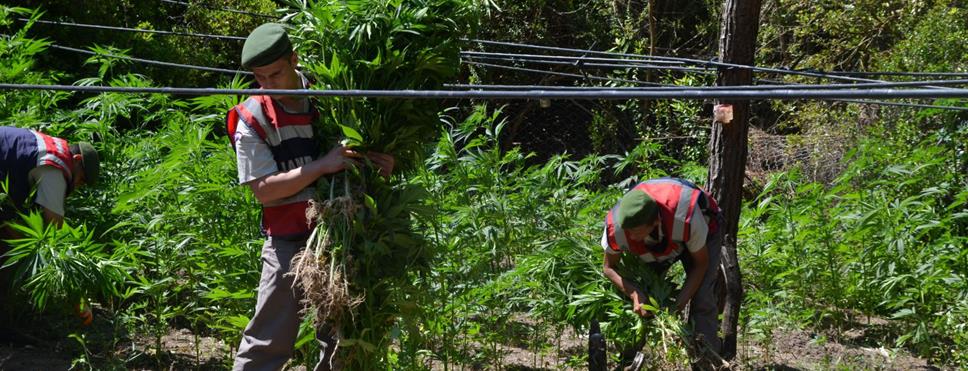 Isparta’nın Yalvaç ilçesinde Emniyet Müdürlüğü ekipleri Koruyaka Köyü’nde oturan 45