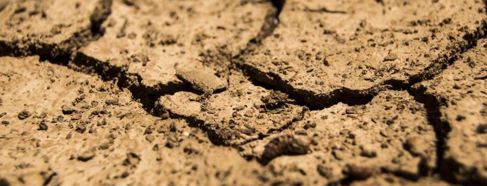 Isparta Ziraat Odası Başkanı Mustahattin Can Selçuk, uzun zamandır yağmur