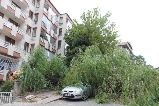 Isparta’da dün etkili olan şiddetli fırtına hayatı olumsuz yönde etkiledi.