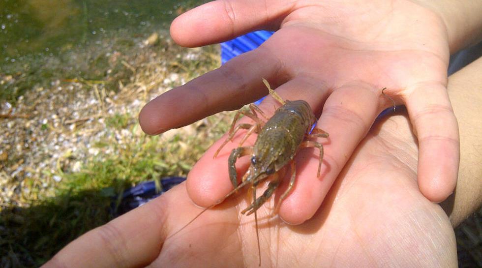 Eğirdir İlçe Jandarma Bot Tim Komutanlığı ekiplerince 1380 sayılı Su