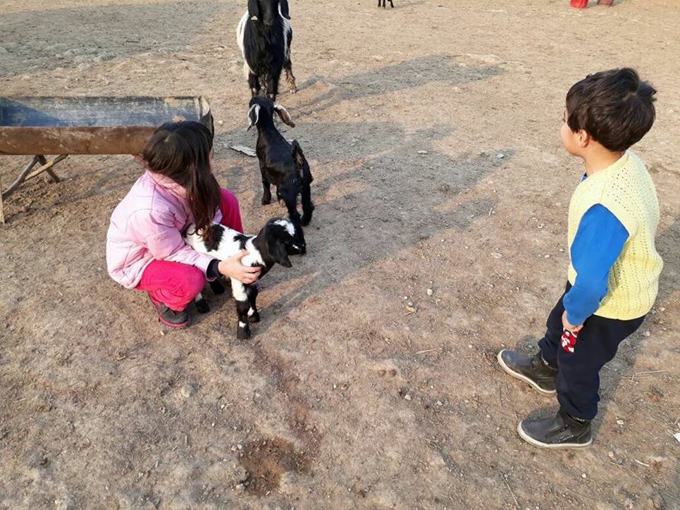 Annem ve babam, Yaz tatillerin de kardeşimle beni, Arslanköy’ün de