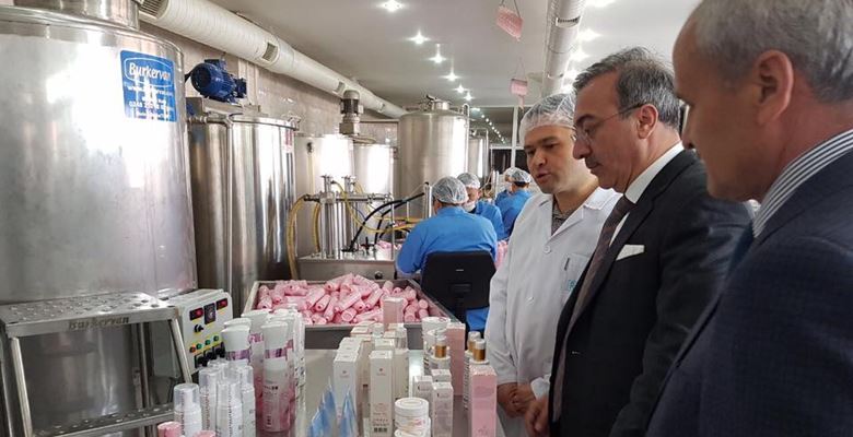 Dünya gül yağı ihtiyacının yüzde 65’ini tek başına karşılaşan Isparta’da