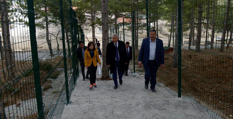 Isparta Belediyesi eski Burdur Yolu üzerinde hayvan barınağı kurma çalışmalarına