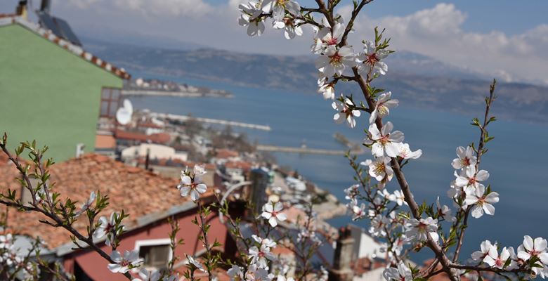  Türkiye'deki 14 sakin şehirden biri olan Eğirdir'de havanın ısınmasıyla