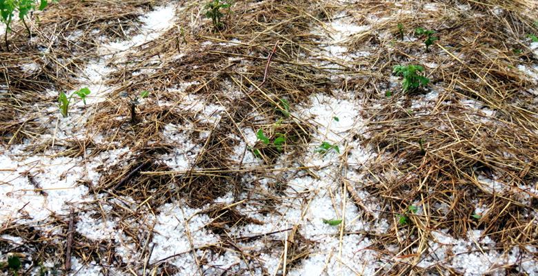 Isparta'nın Aksu ilçesi ve çevre köylerinde şiddetli yağmur ve dolu
