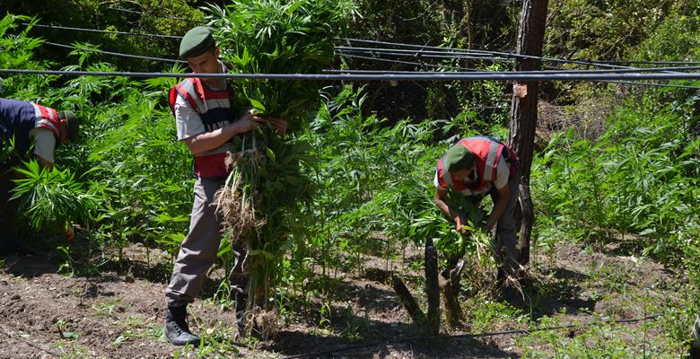 Isparta İl Jandarma Komutanlığı’nın Yalvaç ve Gelendost ilçelerinde yaptığı operasyon