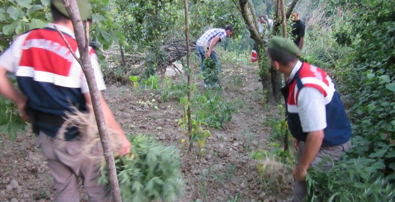 Isparta İl Jandarma Komutanlığı ekiplerinceDere Mahallesi’nde yapılan operasyon neticesinde yasadışı