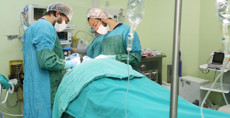 Süleyman Demirel Üniversitesi Diş Hekimliği Fakültesi, Türkiye’de bir ilke imza