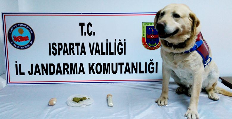 Isparta’da jandarma tarafından yol uygulamasında durduran otobüsteki yolcunun valizinde toz
