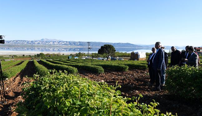Isparta Belediyesi 11-15 Mayıs tarihleri arasında düzenleyeceği Gül Fuarı ve