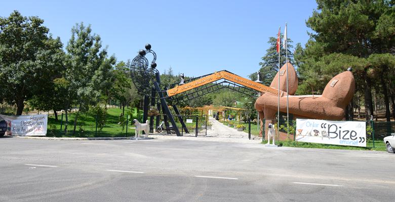 49 dönümlük orman içerisinde inşa edilen ve 9 ay önce