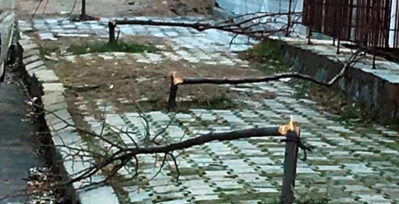 Isparta Belediyesi, Yedişehitler Mahallesi 2944 sokakta kaldırımda bulunan çok sayıda