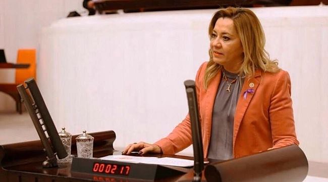 İyi Parti Isparta Milletvekili Dr. Aylin Cesur, Türkiye Büyük Millet