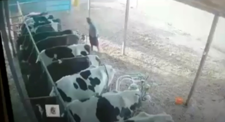 Yalvaç İlçesine bağlı Hüyüklü Köyü’nde bir besihanede 9 büyükbaş hayvan