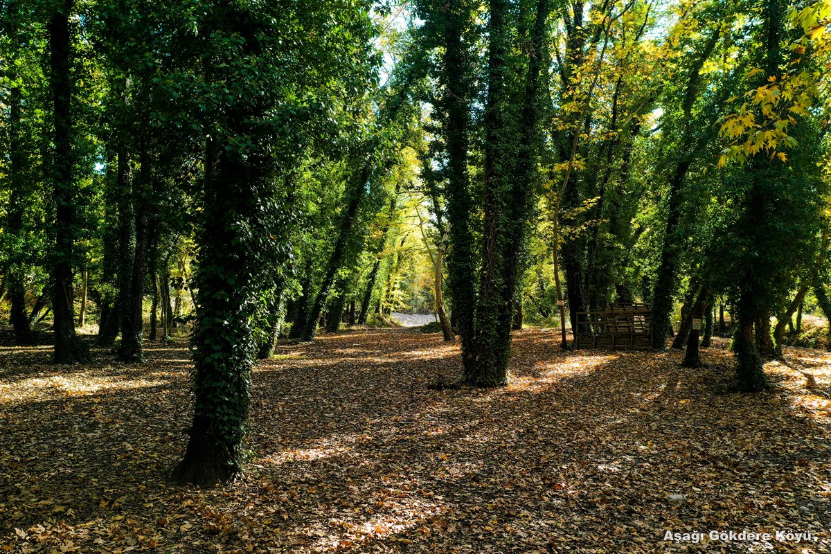 Evde Kalarak Isparta’yı keşfet (Kovada Gölü) – 12. fotoğraf