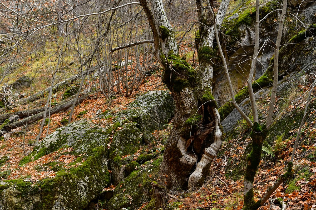 Aksu Yaka Kanyonu – 15. fotoğraf