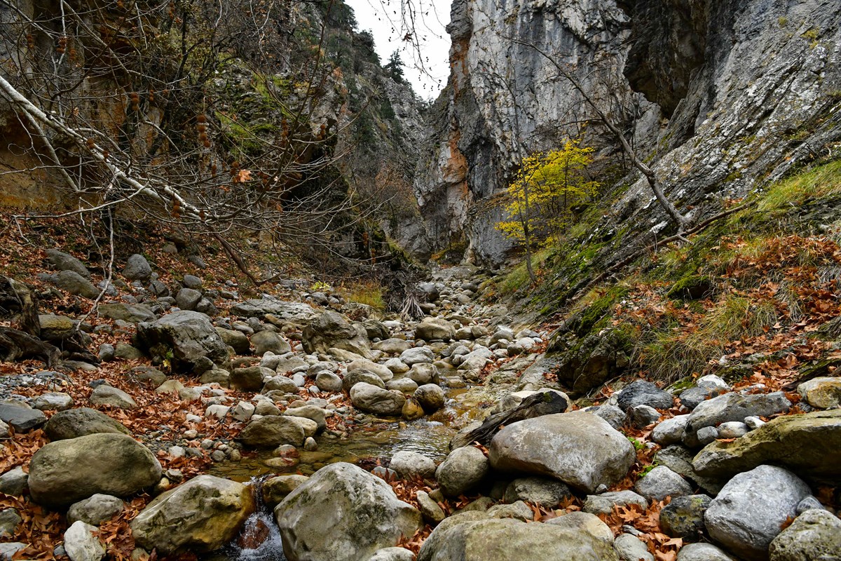 Aksu Yaka Kanyonu – 17. fotoğraf