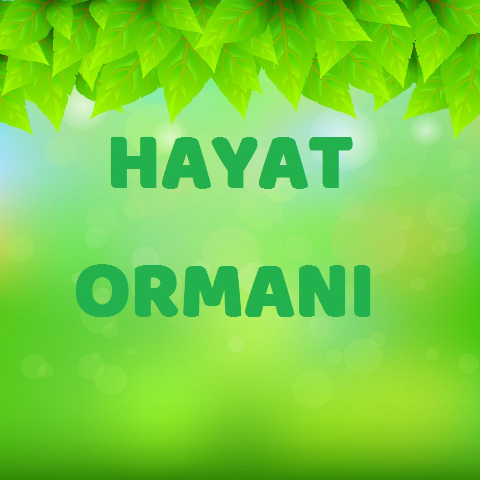 Ömür dediğimiz zaman dilimi çok uzun gözükse de aslında bir