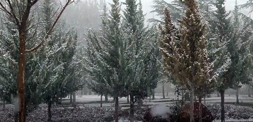 Aylardır beklenen kar bugün nihayet yağmaya başladı. Öğle saatlerinde etkisi