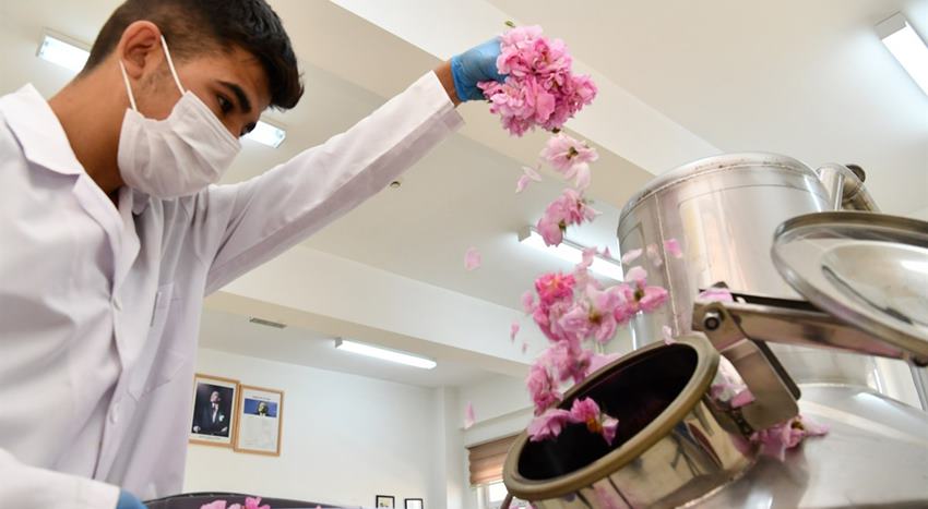 Gülün başkenti Isparta’da meslek lisesi öğrencileri gül damıtmayı öğreniyor. Isparta’da