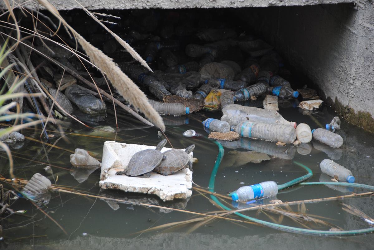 Isparta anket ve kamuoyu yoklamaları