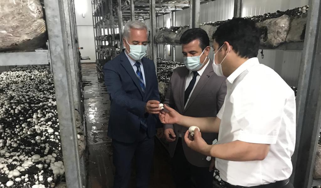 Isparta’da yaşayan daha önce ise küçük çapta çiftçilikle uğraşan Kadriye