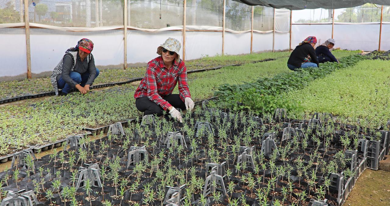 Isparta’ya çeşitli açılış ve temel atma törenleri için yarın gelecek