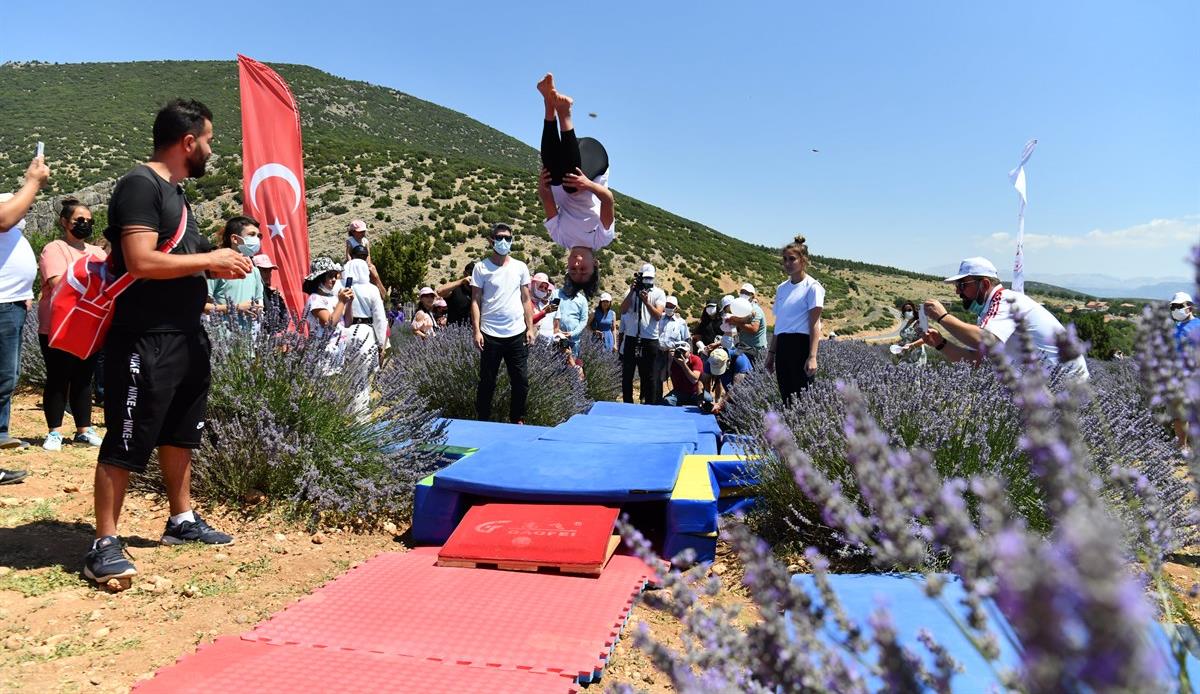 Ülkemizde bir asıra yakın süredir lavanta üretiminin gerçekleştirildiği ve lavantanın