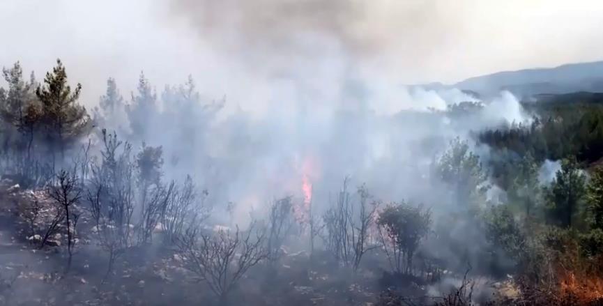 Isparta’nın Sütçüler Çandır’daki yangınla mücadele veren Isparta’da Valilik tarafından flaş