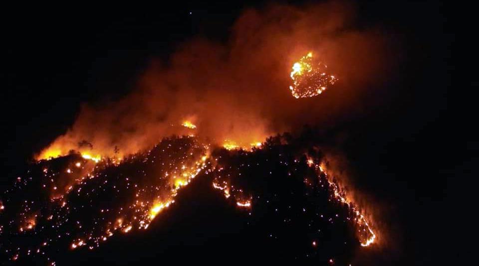Türkiye’nin değişik noktalarında meydana gelen orman yangınlarıyla ilgili sabotaj iddiası