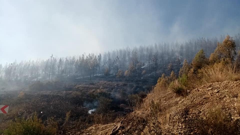 Isparta’nın Sütçüler İlçesine bağlı Çandır’da Yazılı Kanyon bölgesinde çıkan yangın