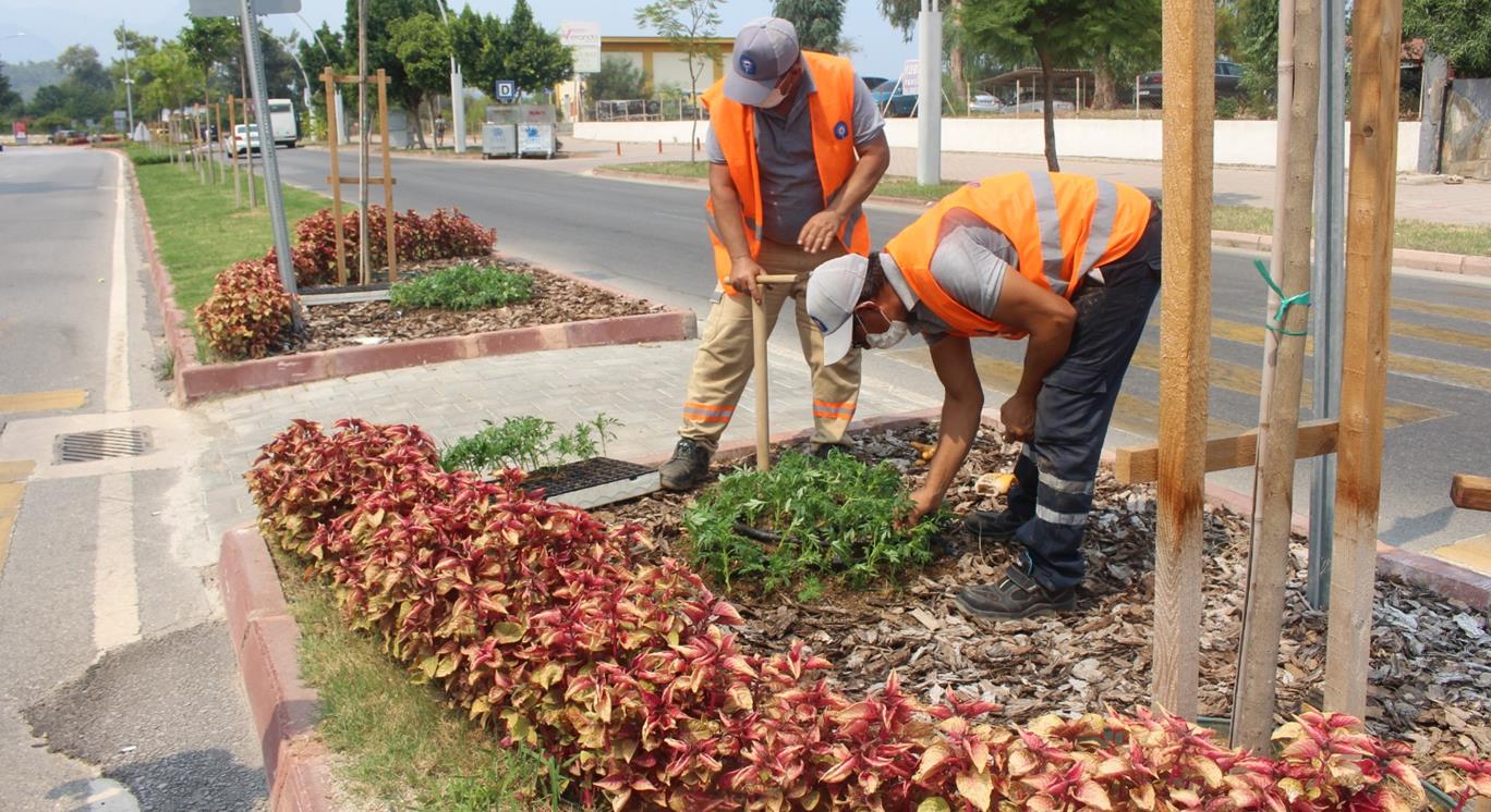 Isparta’nın Şarkikaraağaç ilçesinde TIR’ın şarampole devrilmesi sonucu bir kişi yaralandı.Beyşehir-Isparta