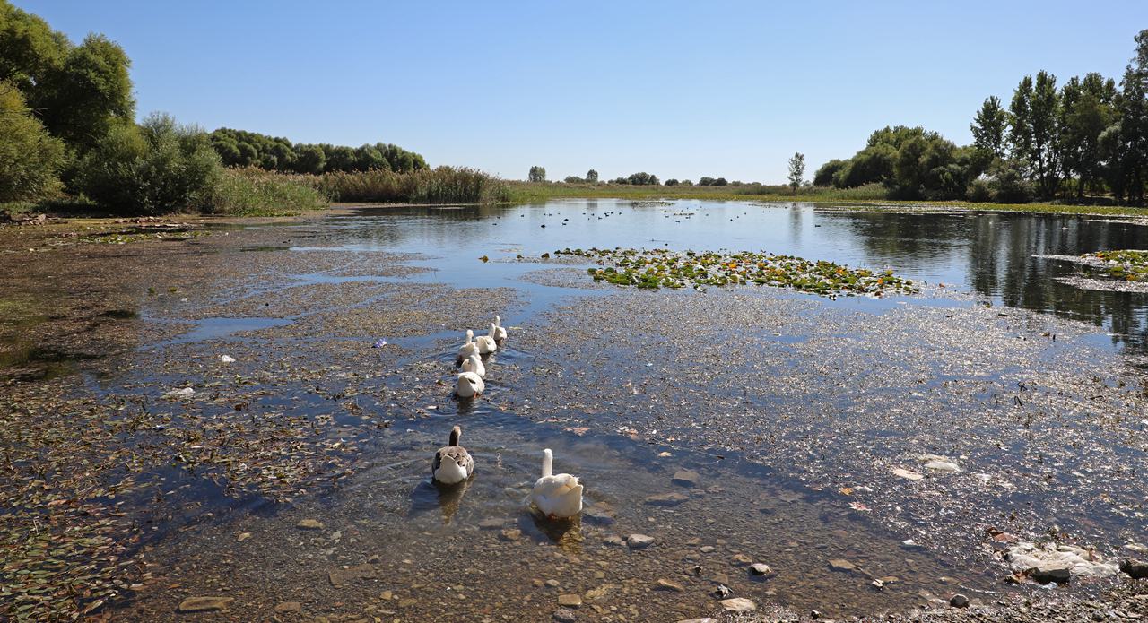 İşte Erdoğan’ın konuşmasından satır başları: Bit pazarının bereketi olsaydı yağmur