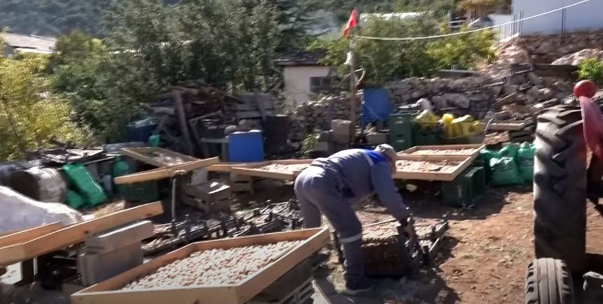 Şimdi de kameralarımızı Eğirdir ilçemize çeviriyoruz. Eğirdir’de 7 dönümlük elma