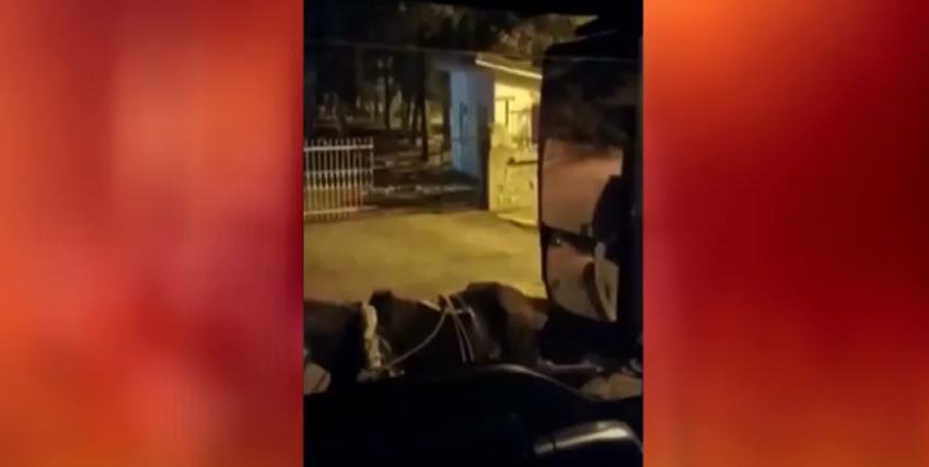 Isparta’da Hızırbey Mahallesinde dün gece yol kenarındaki kabakları tek tek