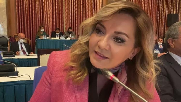 İyi Parti Isparta Milletvekili Aylin Cesur, Türkiye Büyük Millet Plan